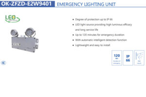 OK-ZFZD-E2W9401